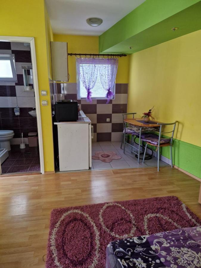 סוקו בניה Apartments Hadzi מראה חיצוני תמונה