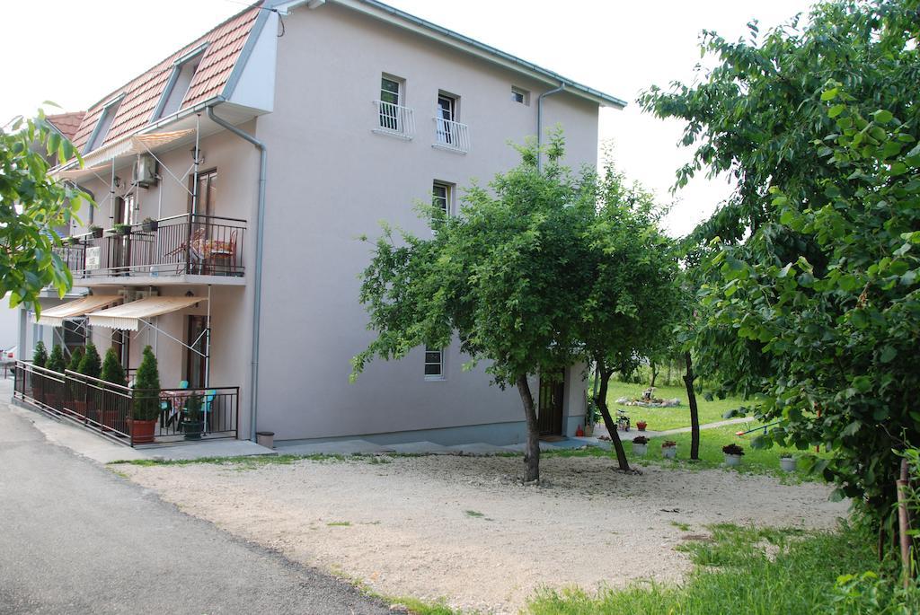 סוקו בניה Apartments Hadzi מראה חיצוני תמונה